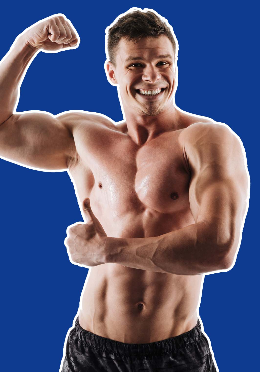 جنسنج تروبيلوس